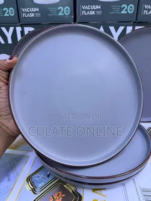 6pcs Dinner Plates Set