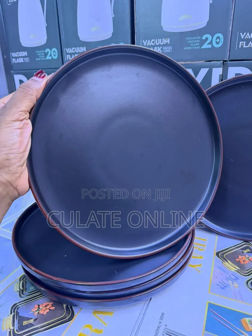 6pcs Dinner Plates Set