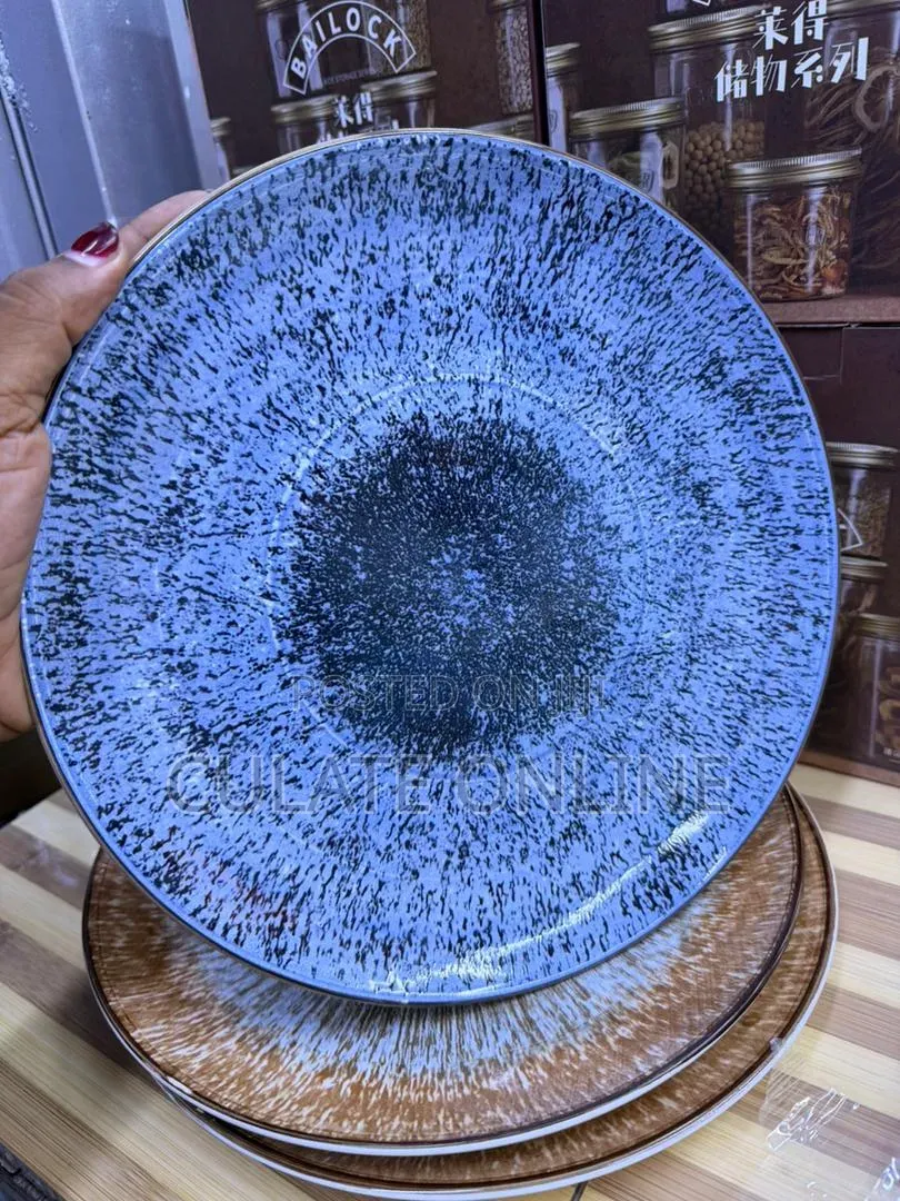 6pcs Dinner Plates Set