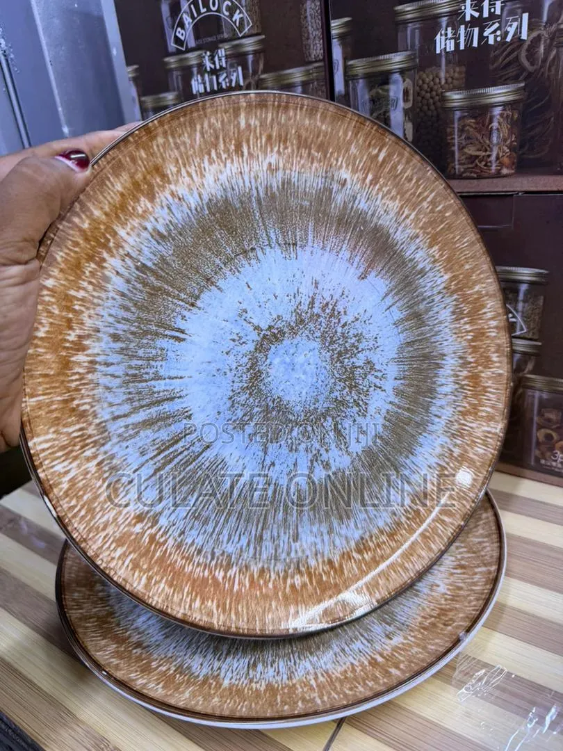 6pcs Dinner Plates Set