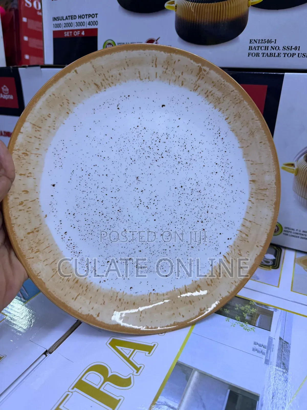 6pcs Dinner Plates Set