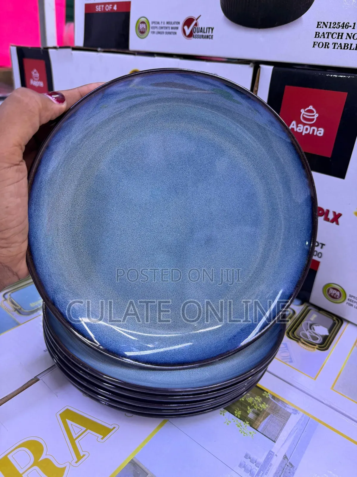 6pcs Dinner Plates Set
