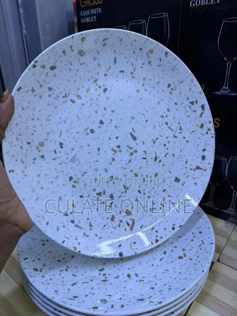 6pcs Dinner Plates Set