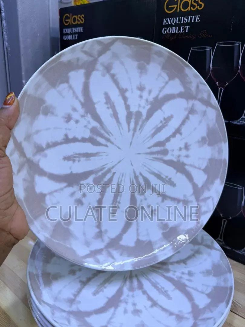 6pcs Dinner Plates Set