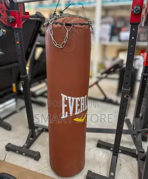 Everlast Punching Bag