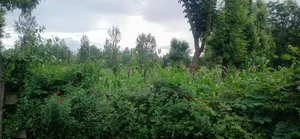 Plot for Sale at Ngaramton- Kilimamoto Area,Arusha-Tanzania