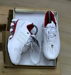 Men's Leather Sneakers or Shoes or Raba Za Porsche Design Totally Nice