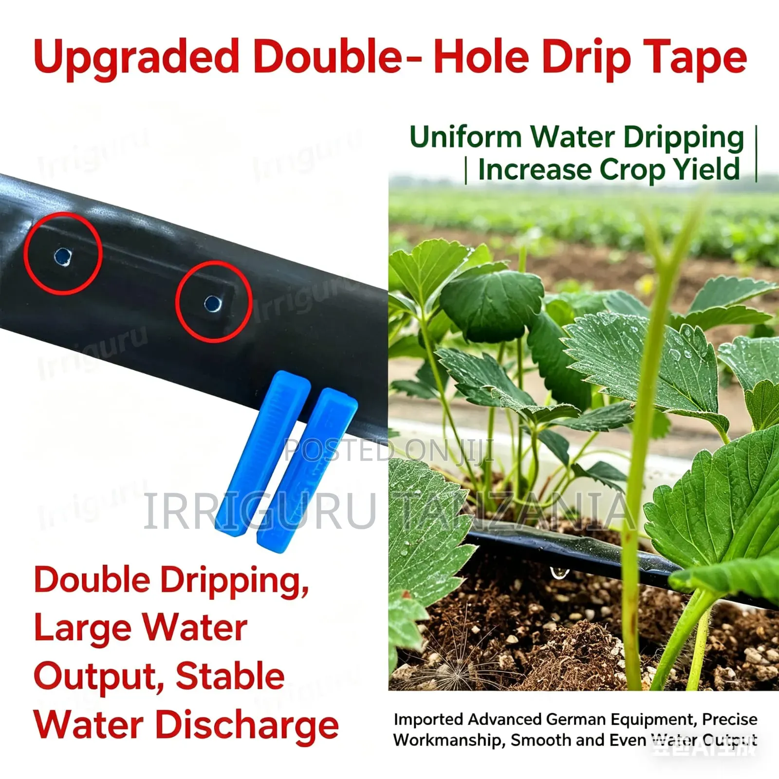 Irrigation Water Dripping