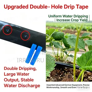 Irrigation Water Dripping
