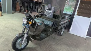 New Tricycle 2025 Green