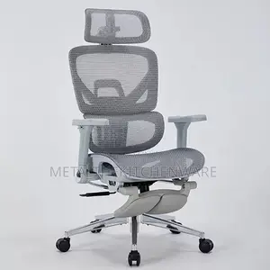 Ergonomic Comfy Mesh Upholstery Office Chair DLS-T9