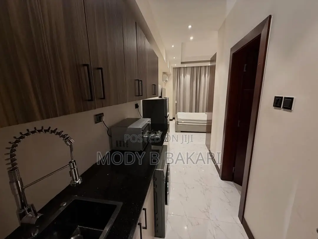 Furnished 1bdrm Apartment in Masaki for rent