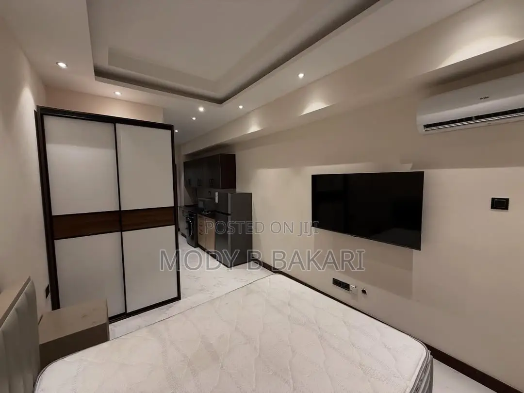 Furnished 1bdrm Apartment in Masaki for rent