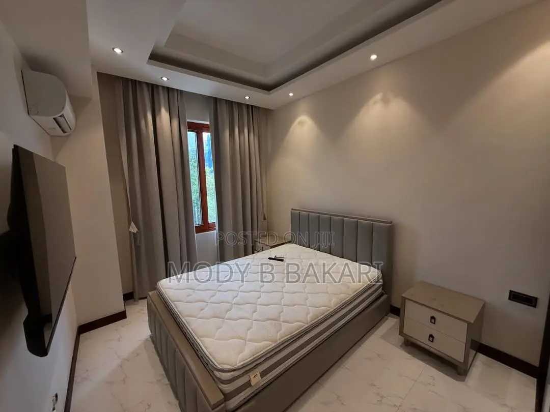 Furnished 1bdrm Apartment in Masaki for rent