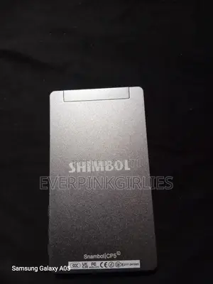 Portable Monitor