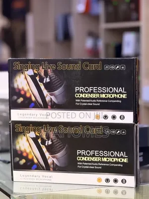 Legendary Vocal Bm-800 Professional