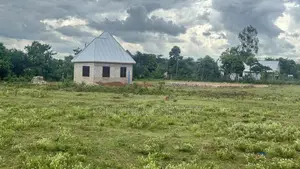 Viwanja Kumi (10) Vinauzwa Kisesa
