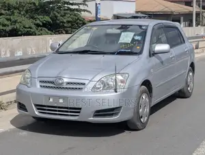 Toyota Allex 2004 Silver