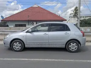 Toyota Allex 2004 Silver