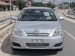 Toyota Allex 2004 Silver