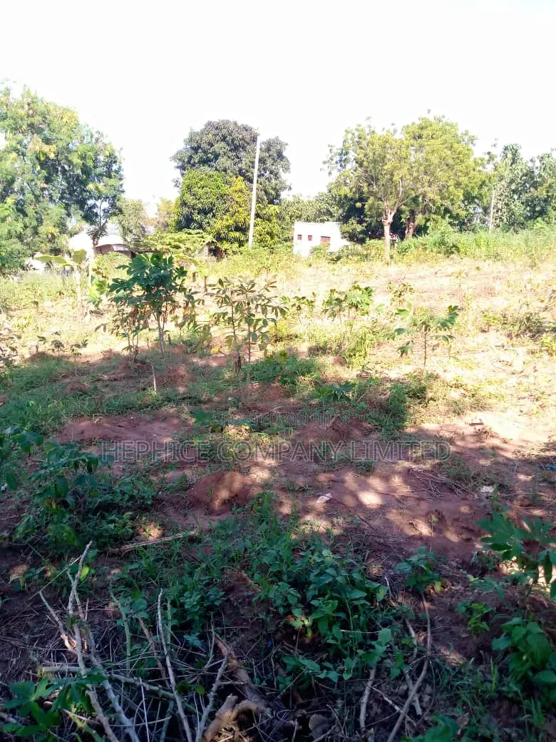 Kiwanja Kinauzwa Kifuru Kinyerezi