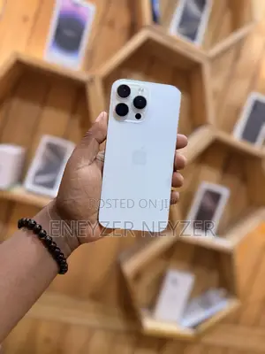 Apple iPhone 15 Pro Max 256 GB Silver