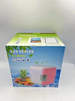 Portable Mini Car/Vehicle Fridge 4l for Cooling and Warmth