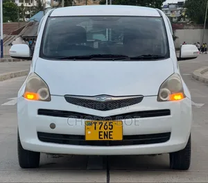 Toyota Ractis 2009 Pearl