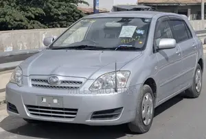 Toyota Allex 2004 Silver