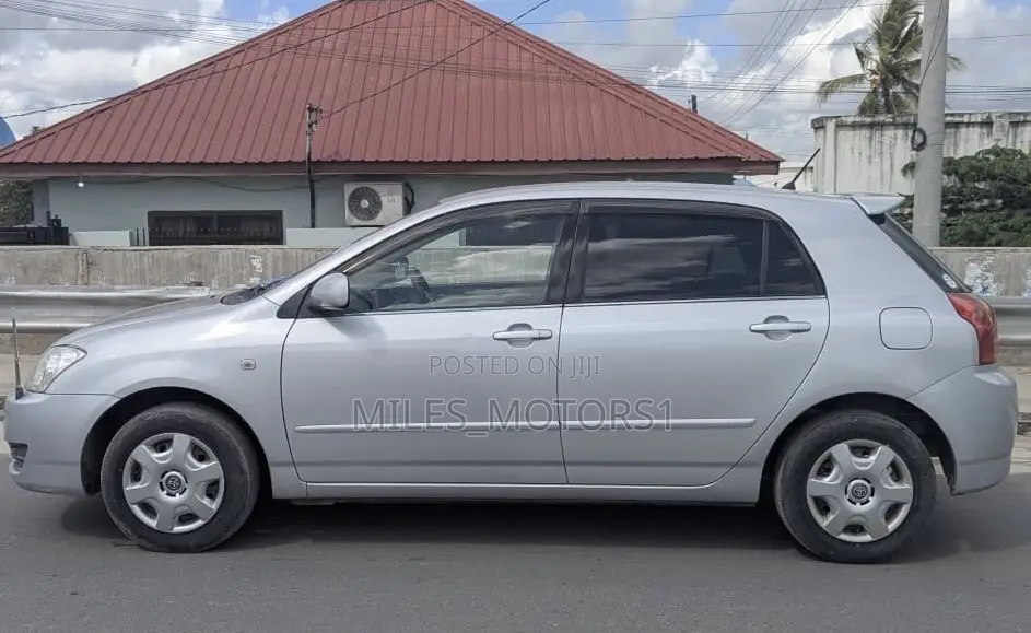 Toyota Allex 2004 Silver