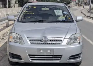 Toyota Allex 2004 Silver