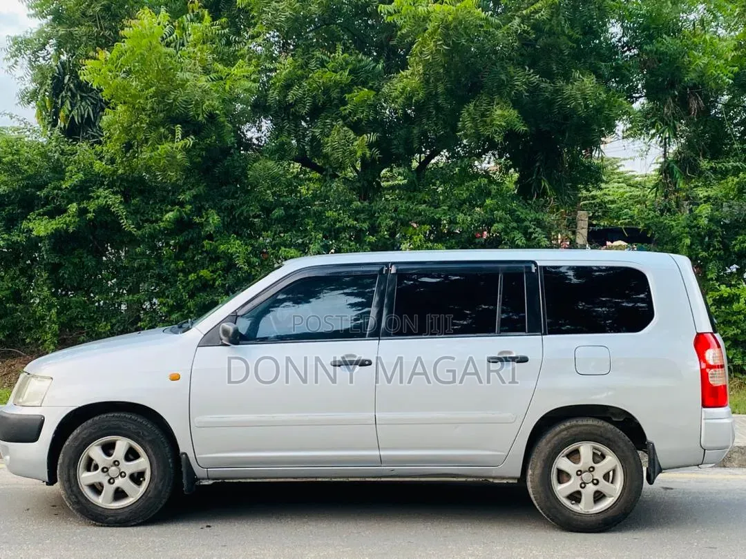 Toyota Probox 2005 Silver