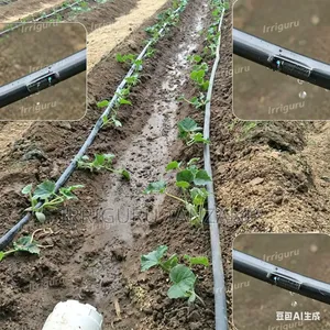 Stable Water Flow