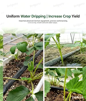 Water and Fertilizer Saving