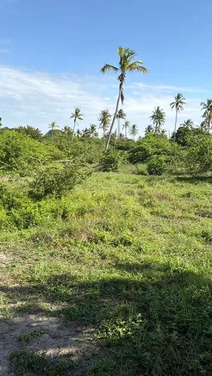 Land for Sale at Bagamoyo Town