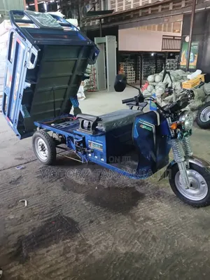 New Tricycle 2026 Blue