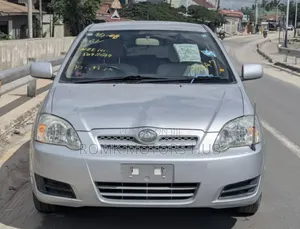 Toyota Allex 2004 Gray