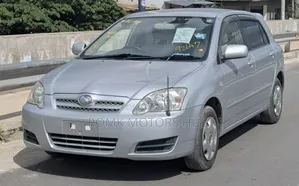 Toyota Allex 2004 Gray