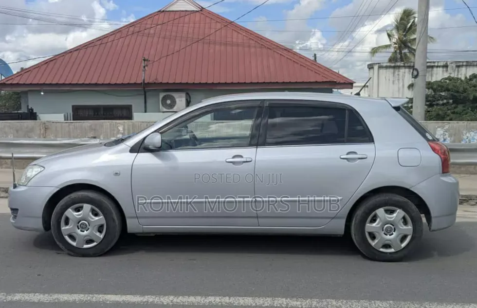 Toyota Allex 2004 Gray
