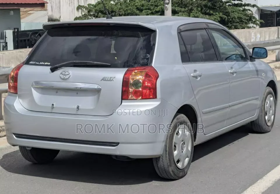 Toyota Allex 2004 Gray