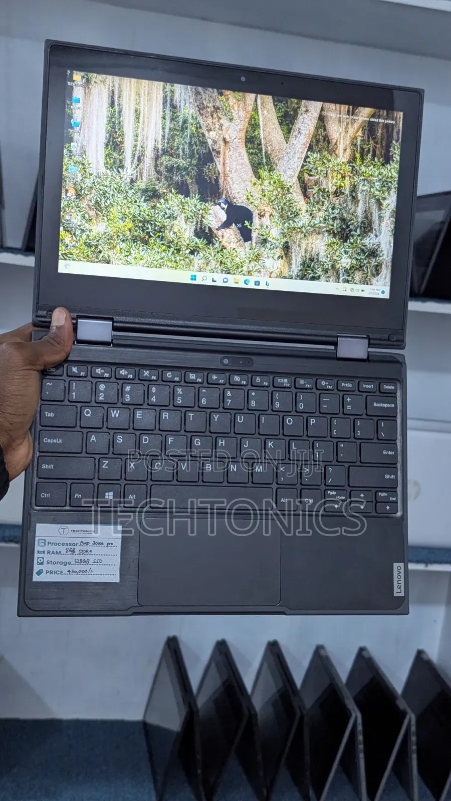 Laptop Lenovo 300e 8GB AMD SSD 128GB