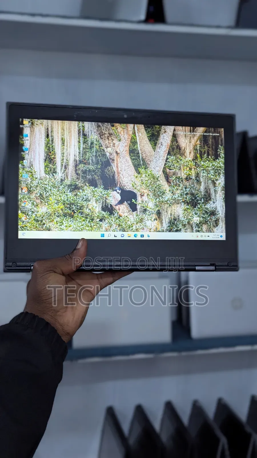 Laptop Lenovo 300e 8GB AMD SSD 128GB