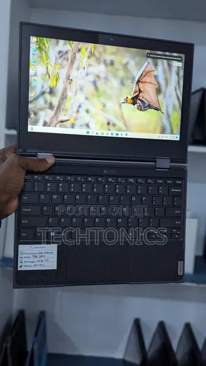 Laptop Lenovo 300e 8GB AMD SSD 128GB