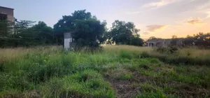 Industry Plot for Sale Kibaha
