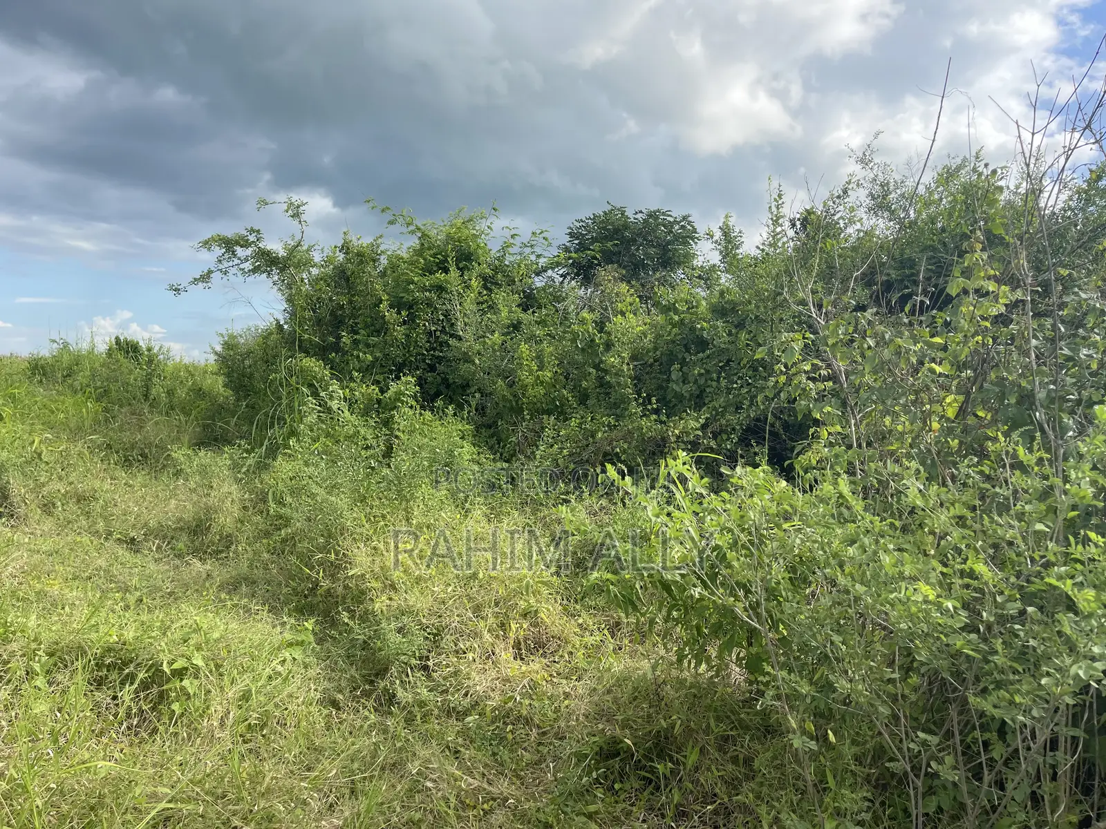 Shamba Linauzwa Hekari 35