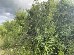 Shamba Linauzwa Hekari 35