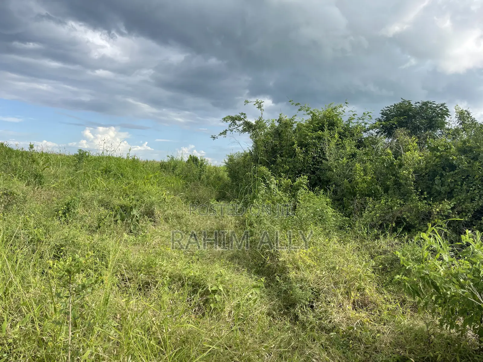 Shamba Linauzwa Hekari 35