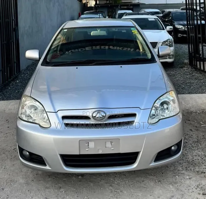 Toyota Allex 2007 Silver