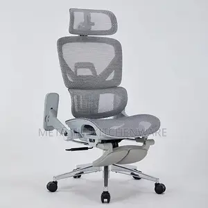 Ergonomic Comfy Mesh Upholstery Office Chair DLS-T9