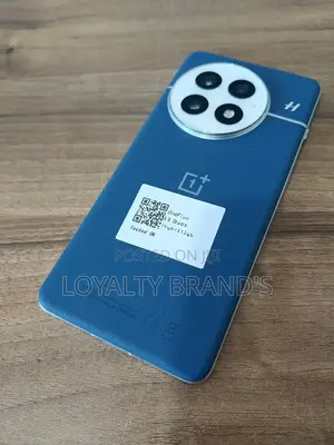 New OnePlus 13 256 GB